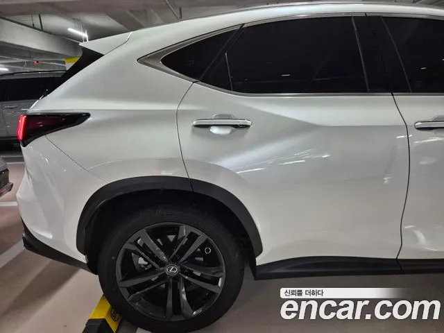 Lexus NX — Фото автомобиля 4