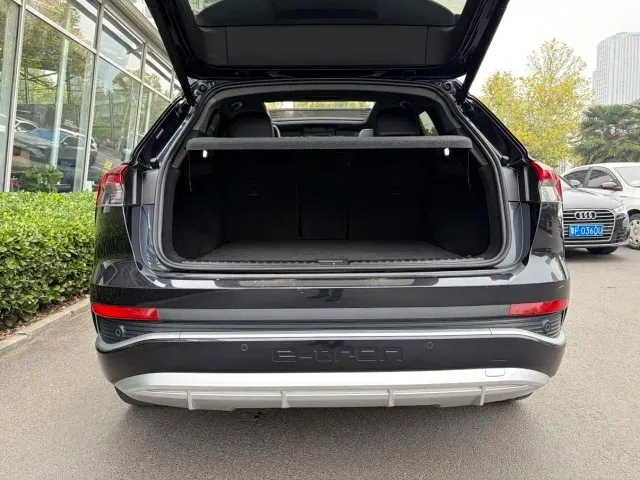 Audi Q4 e-tron — Фото автомобиля 12