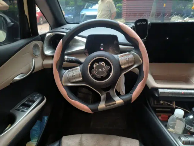 BYD Dolphin — Фото автомобиля 2