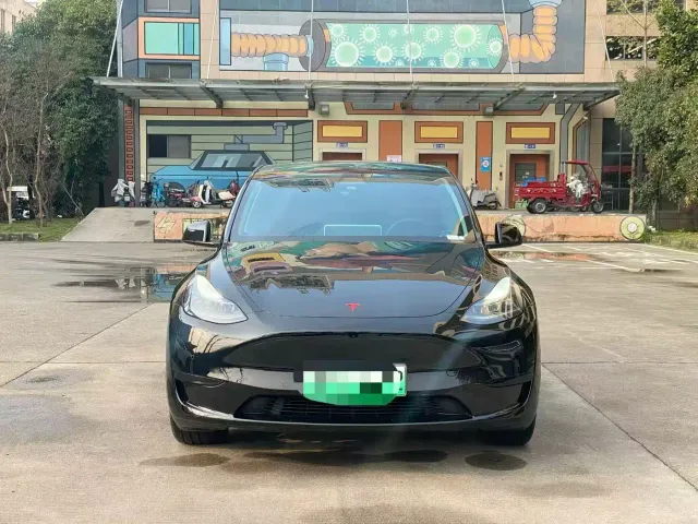 Tesla Model Y — Фото автомобиля 2