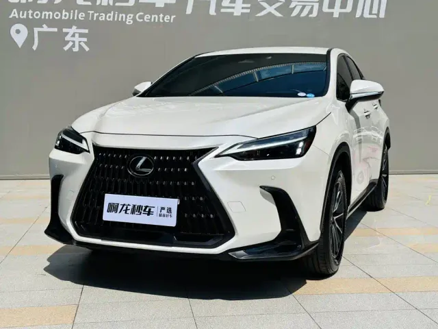 Lexus NX — Фото автомобиля 17