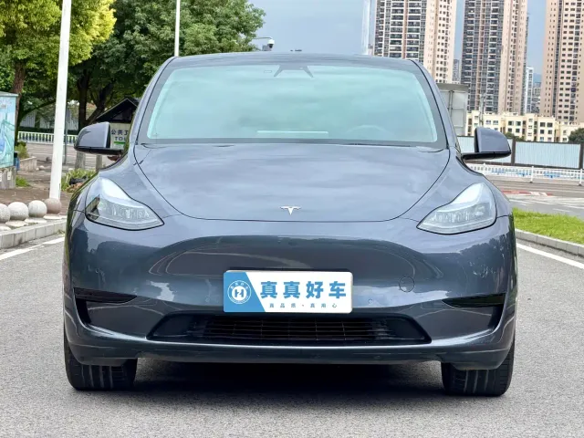 Tesla Model Y — Фото автомобиля 2