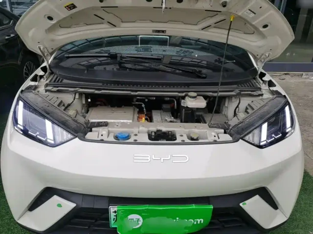 BYD Seagull — Фото автомобиля 19