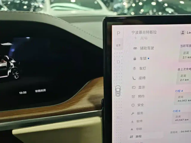 Tesla Model X — Фото автомобиля 9