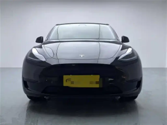 Tesla Model Y — Фото автомобиля 11