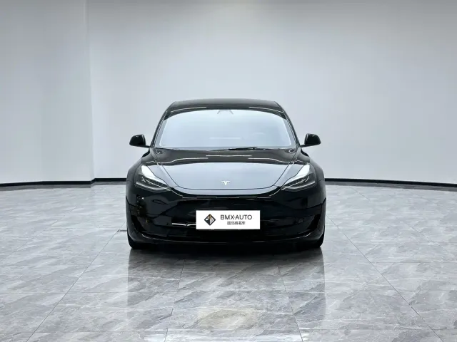 Tesla Model 3 2021 Facelift Standard Range RWD Upgrade 3D1 — Фото автомобиля 3
