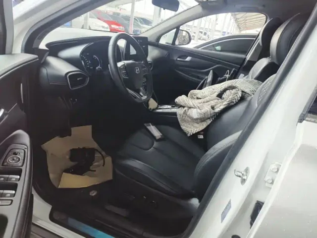 Hyundai Santa Fe — Фото автомобиля 14