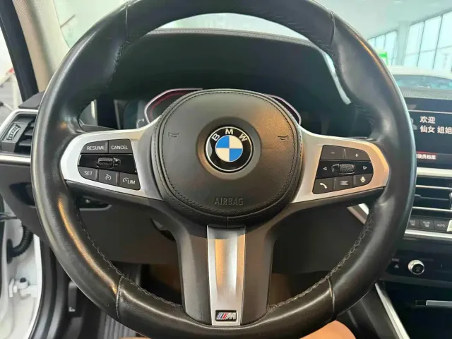 BMW 3 Series — Фото автомобиля 21