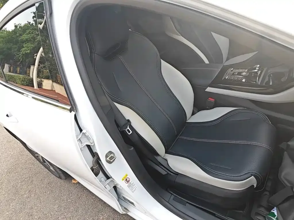 BYD Qin PLUS 2023 Champion Edition DM-i 55KM Leading — Фото автомобиля 24