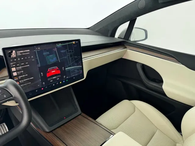 Tesla Model X — Фото автомобиля 5