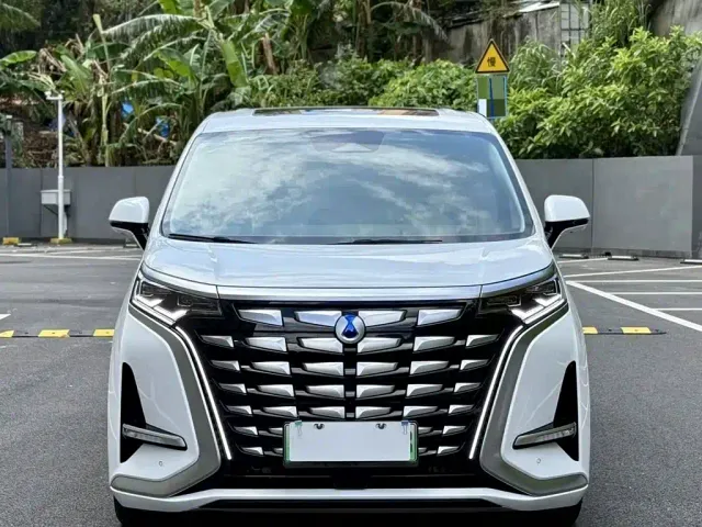 Denza Denza D9 2024 DM-i 980 AWD Prestige — Фото автомобиля 2
