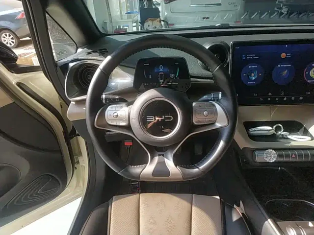 BYD Dolphin — Фото автомобиля 10