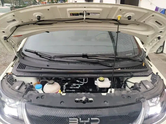 BYD Dolphin — Фото автомобиля 19