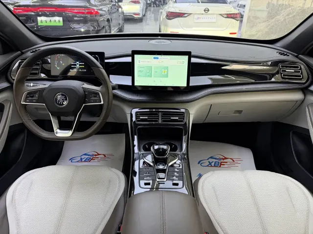 BYD Qin PLUS 2024 DM-i 120KM Navigation Glory Edition — Фото автомобиля 5