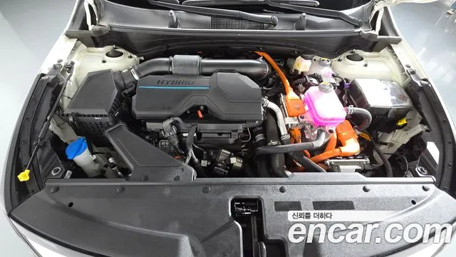 Kia Sportage — Фото автомобиля 6