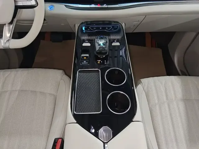 Forthing Xinghai V9 — Фото автомобиля 13