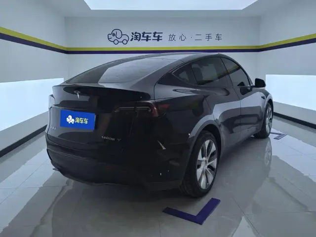 Tesla Model Y — Фото автомобиля 3
