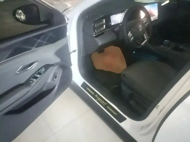 BYD Qin L — Фото автомобиля 15
