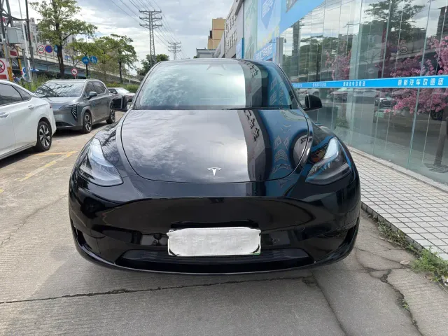 Tesla Model Y — Фото автомобиля 2