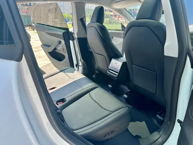 Tesla Model Y — Фото автомобиля 11