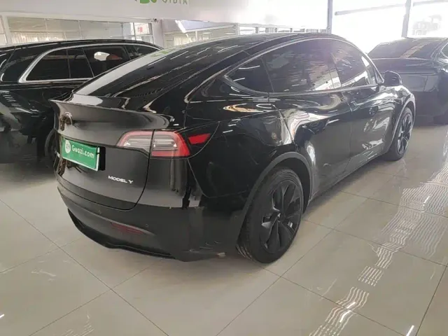 Tesla Model Y — Фото автомобиля 6