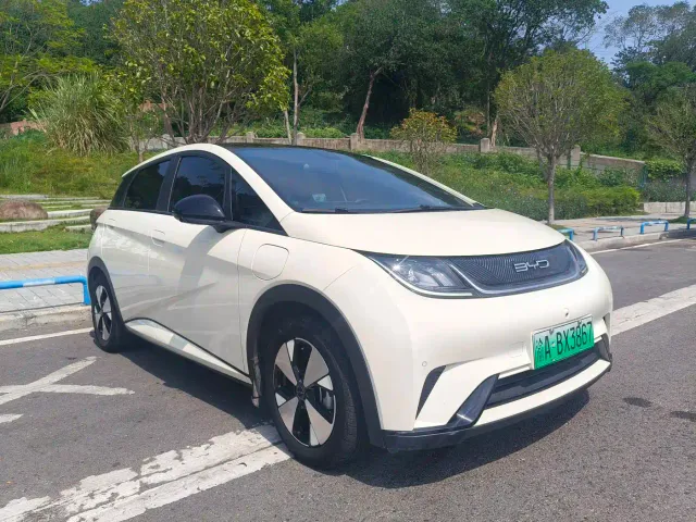 BYD Dolphin — Фото автомобиля 3