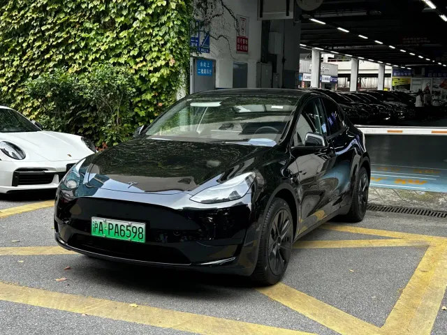 Tesla Model Y — Фото автомобиля 2