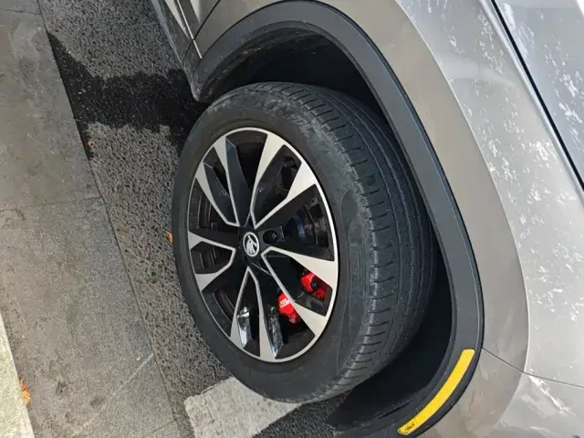 Skoda Kodiaq — Фото автомобиля 6