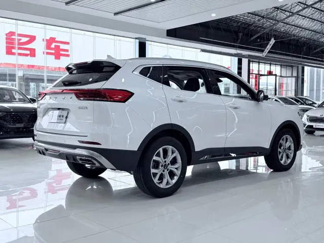 Haval H6 — Фото автомобиля 11