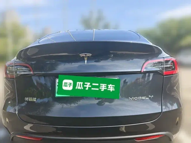 Tesla Model Y — Фото автомобиля 3
