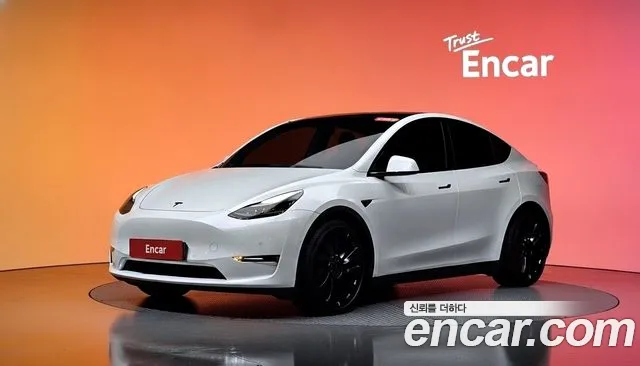 Tesla Model Y — Фото автомобиля 7
