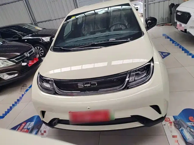 BYD Dolphin — Фото автомобиля 2