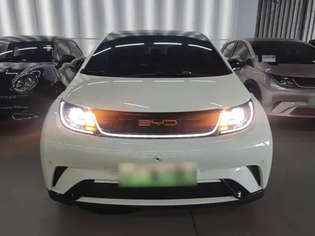 BYD Dolphin — Фото автомобиля 2