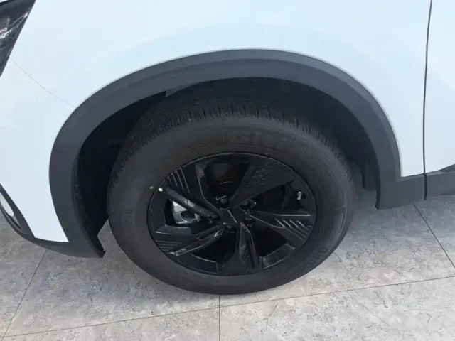 BAIC X7 — Фото автомобиля 22