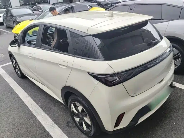 BYD Dolphin — Фото автомобиля 4