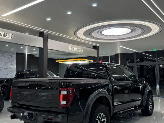 Ford F-150 Raptor — Фото автомобиля 9