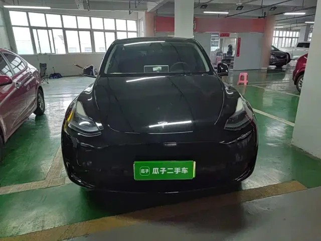 Tesla Model Y — Фото автомобиля 2