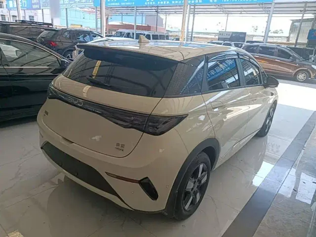 BYD Dolphin — Фото автомобиля 6
