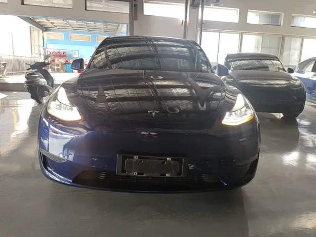 Tesla Model Y 2021 Performance High-Performance AWD — Фото автомобиля 2