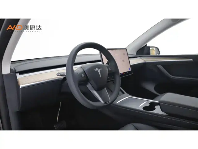 Tesla Model Y — Фото автомобиля 6