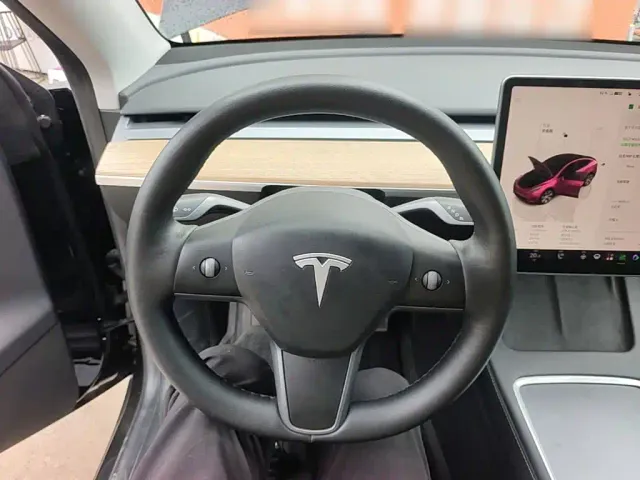 Tesla Model Y — Фото автомобиля 10
