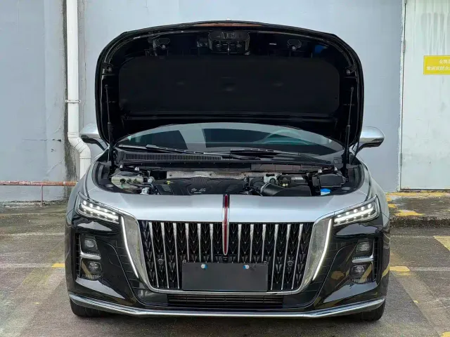 Hongqi H5 — Фото автомобиля 11