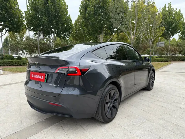 Tesla Model Y — Фото автомобиля 8