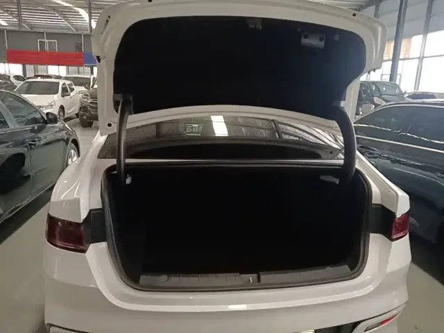 BYD Qin PLUS — Фото автомобиля 18