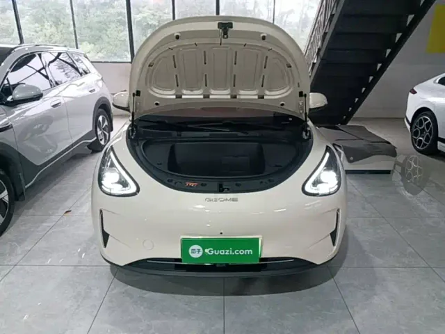 Geely Starry Wish — Фото автомобиля 19