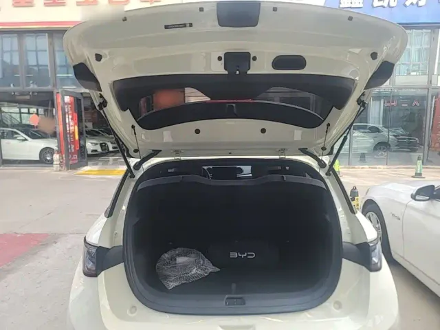 BYD Dolphin 2025 Smart Drive Edition 410km Fashion Version — Фото автомобиля 18