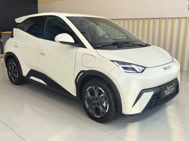 BYD Seagull — Фото автомобиля 3