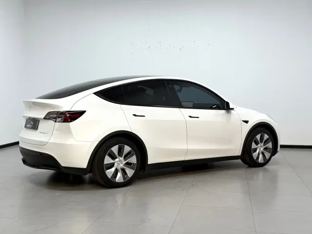 Tesla Model Y — Фото автомобиля 6