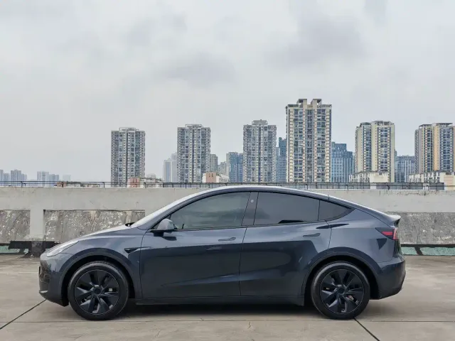 Tesla Model Y — Фото автомобиля 7