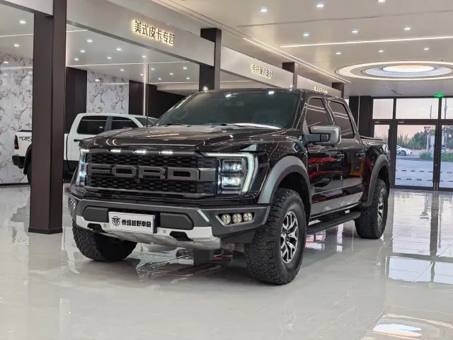 Ford F-150 Raptor — Фото автомобиля 3